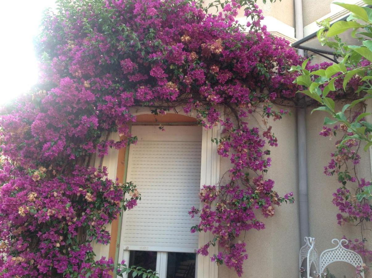 A L'Ombre Du Cedre Hotel Hyeres Bagian luar foto