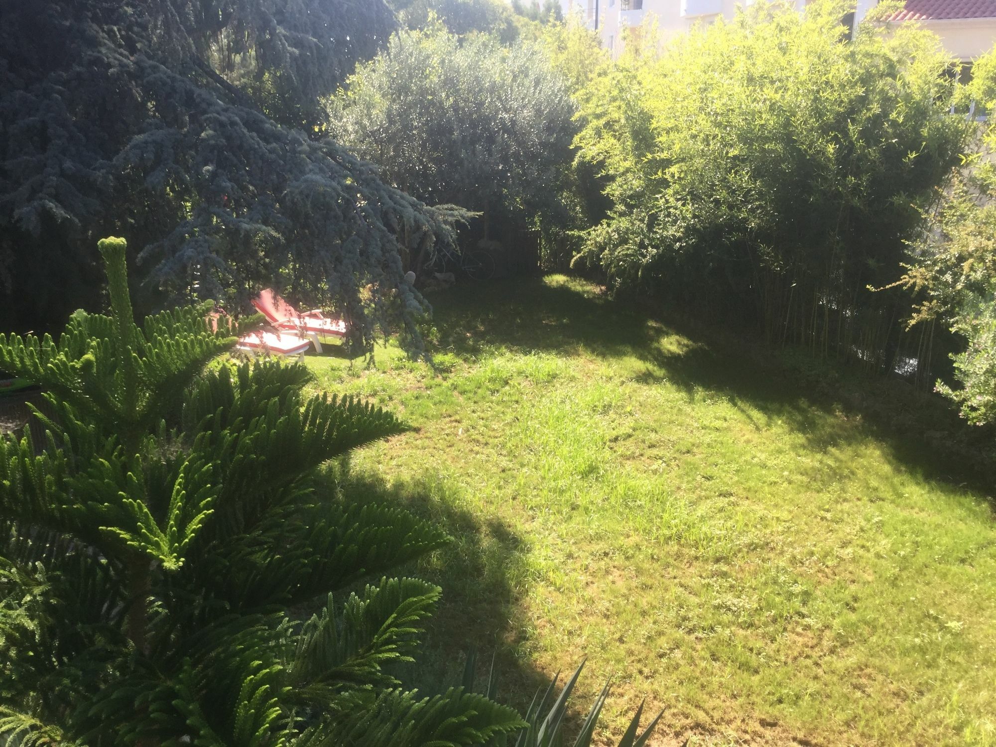 A L'Ombre Du Cedre Hotel Hyeres Bagian luar foto